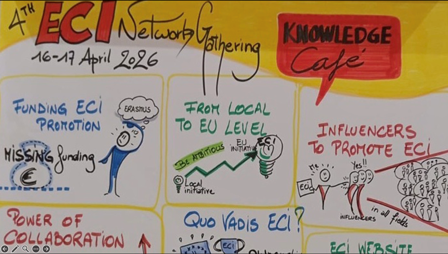 How to amplify an ECI campaign: lessons from experts and successful ...