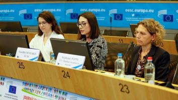 ECI Day - ECAS Workshop - How to turn your idea into an ECI