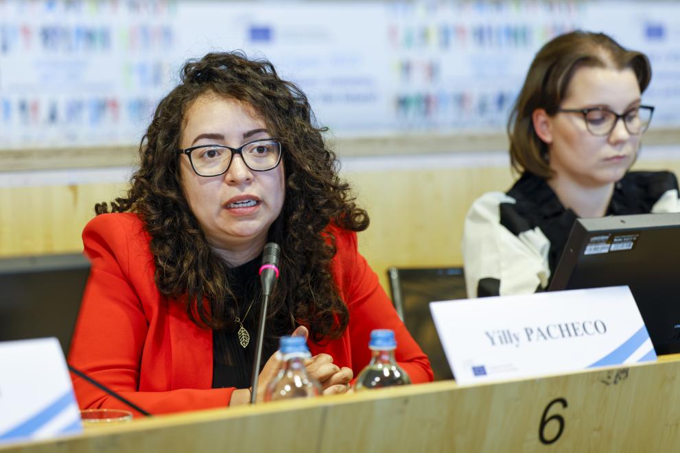 Speaker Yilly Pacheco presents the project 'ECI: From A to Z'