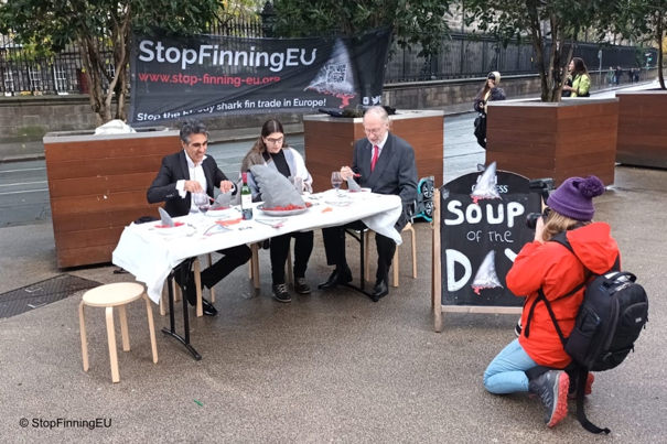 Campaigning for Stop Finning Initiative 