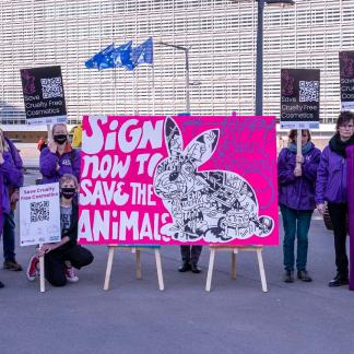 Group of activists with large pink sign saying "Sign now to save the animals"