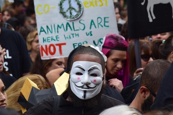 Animal rights activism 