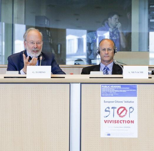 The organisers of the initiative speaking at the public hearing at the European Parliament.